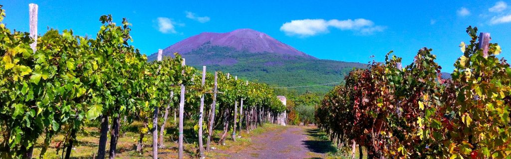 parco nazionale del vesuvio a napoli